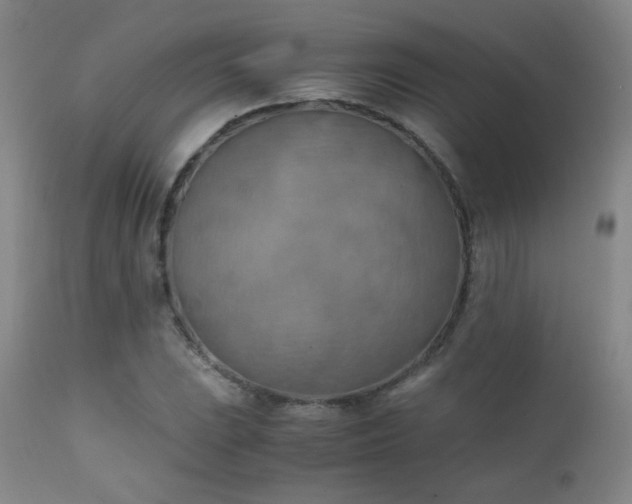 X0000111151023200906301332