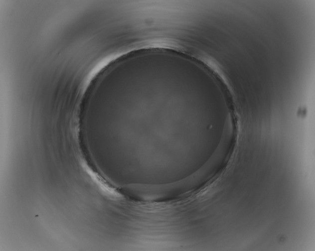 X0000111151024200906301332