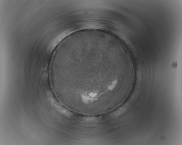 X0000111151025200906301332