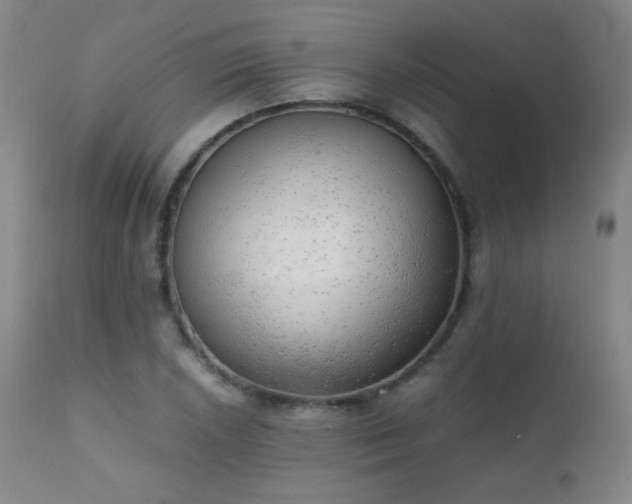 X0000111151026200906301332