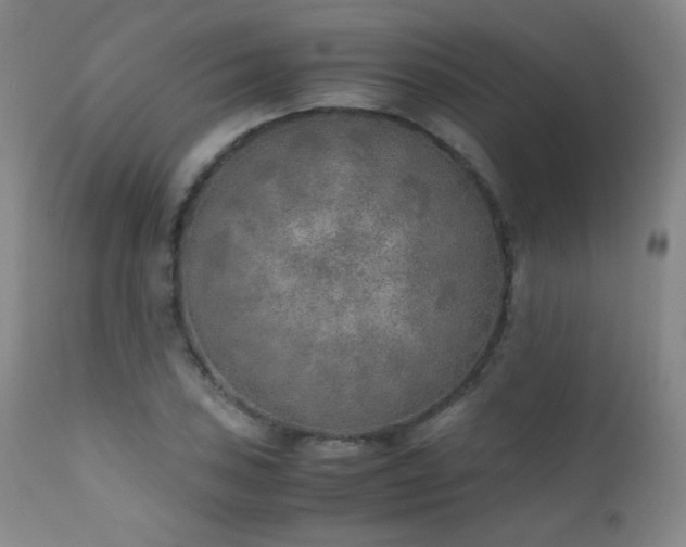 X0000111151027200906301332