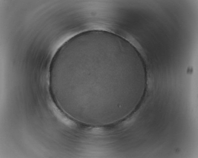 X0000111151028200906301332