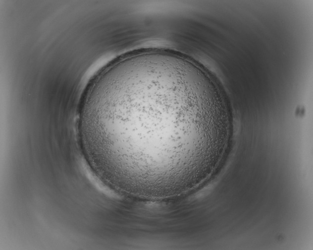 X0000111151029200906301332