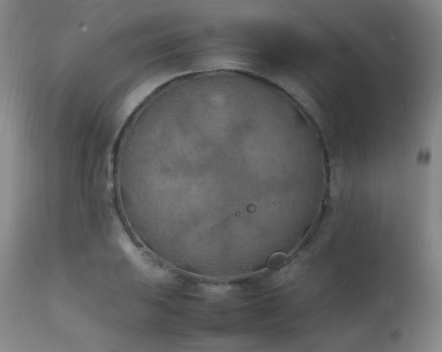 X0000111151031200906301332