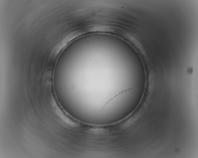 X0000111151033200906301332