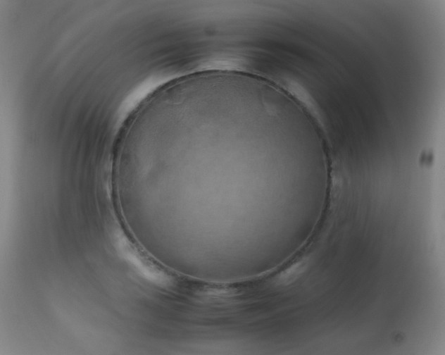 X0000111151035200906301332