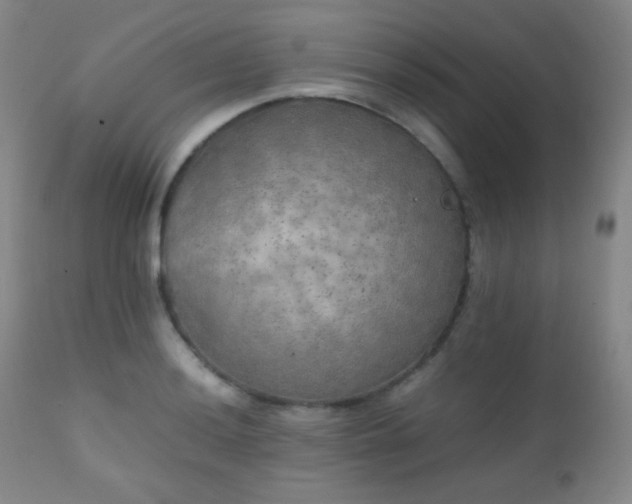 X0000111151036200906301332