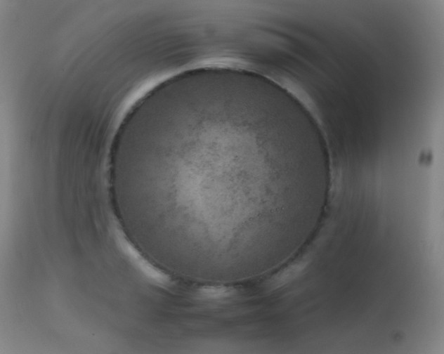 X0000111151037200906301332