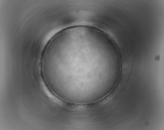 X0000111151038200906301332