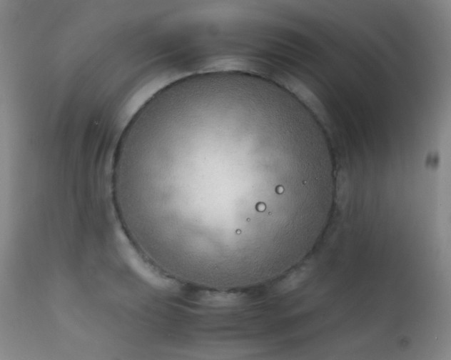 X0000111151039200906301332