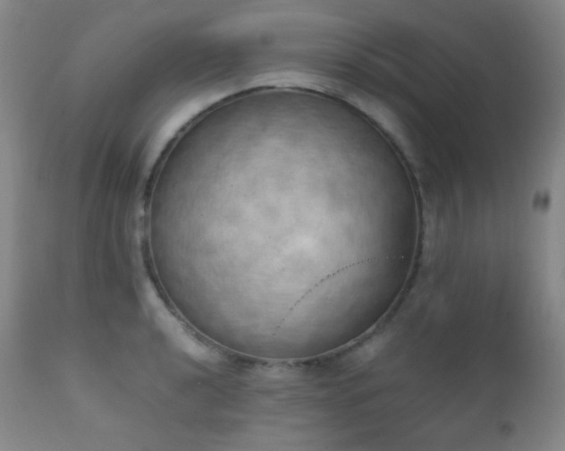 X0000111151040200906301332