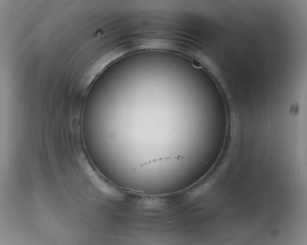 X0000111151041200906301332