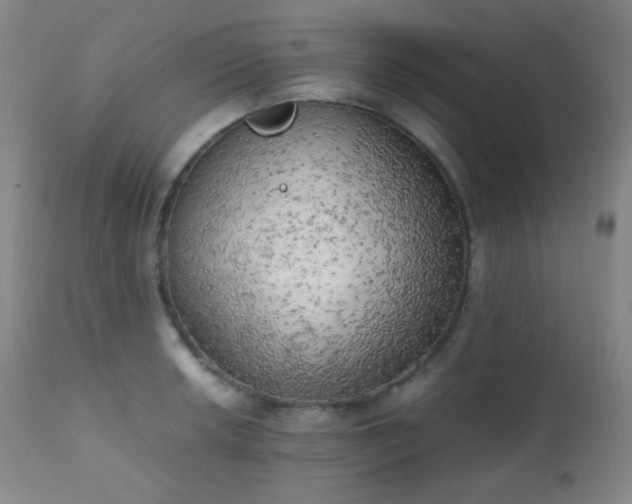 X0000111151042200906301332