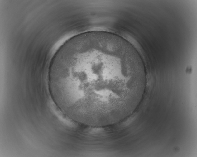 X0000111151043200906301333