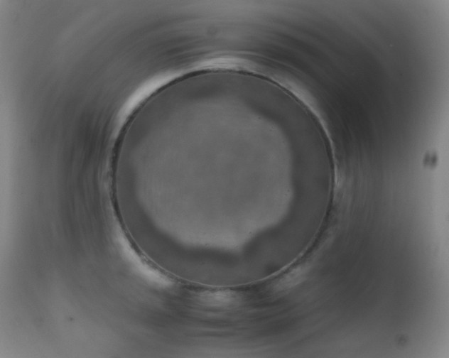 X0000111151045200906301333