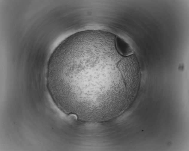 X0000111151046200906301333