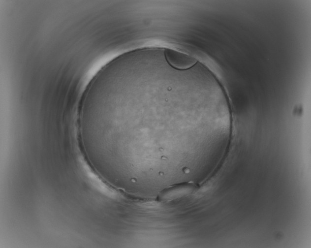 X0000111151048200906301333