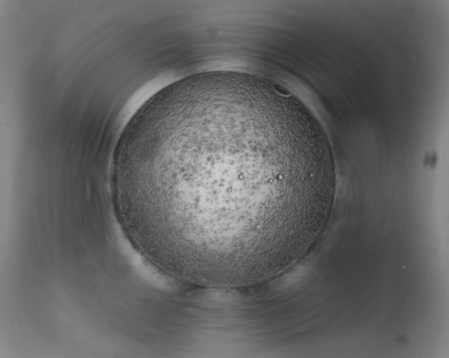 X0000111151050200906301333