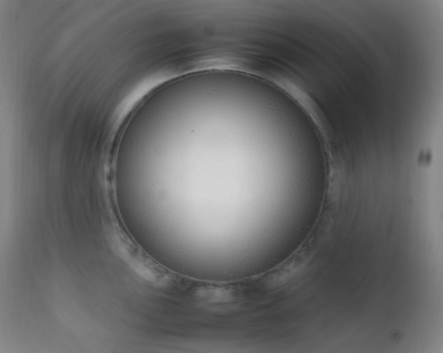 X0000111151051200906301333