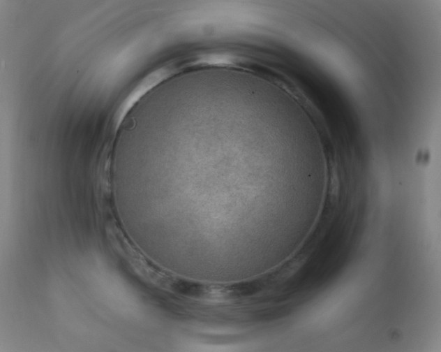 X0000111151052200906301333