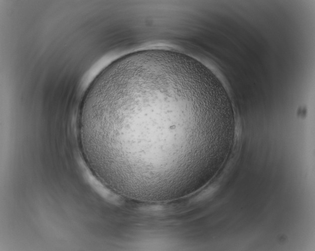 X0000111151054200906301333