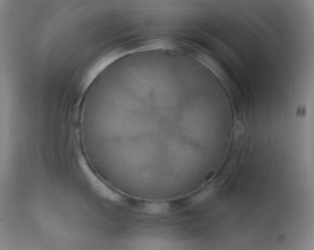 X0000111151055200906301333