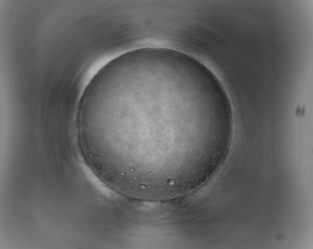 X0000111151056200906301333