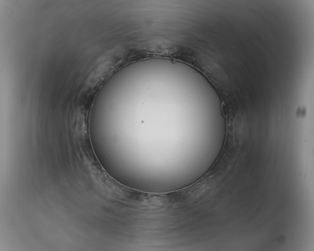 X0000111151058200906301332