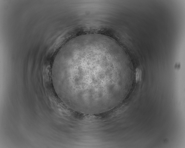 X0000111151059200906301332
