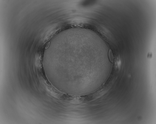 X0000111151060200906301332