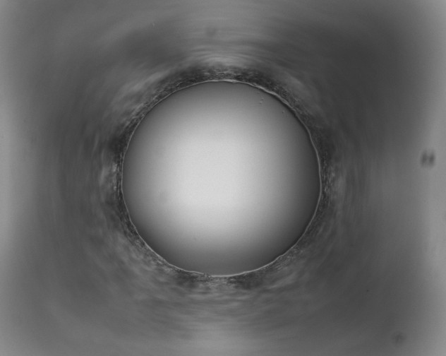 X0000111151061200906301332