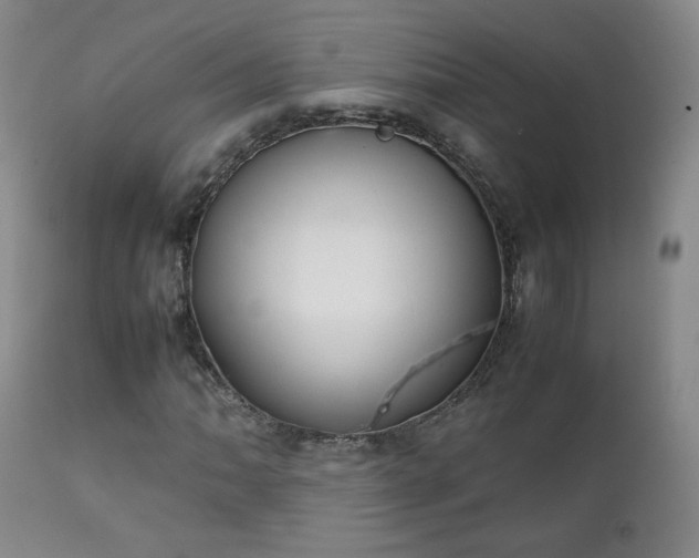 X0000111151062200906301332