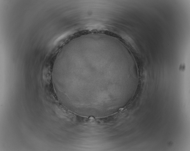 X0000111151063200906301332