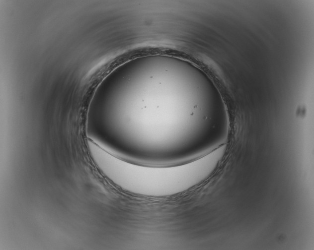 X0000111151064200906301332