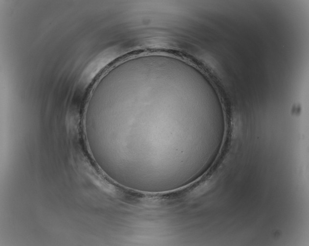 X0000111151065200906301332