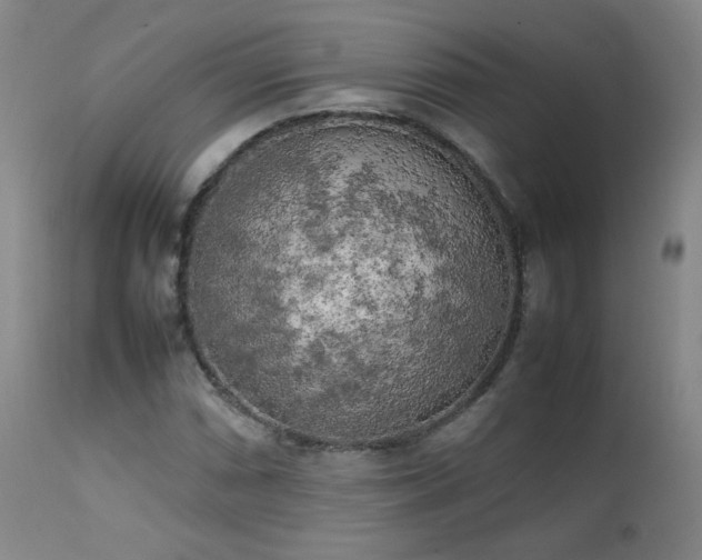 X0000111151066200906301332