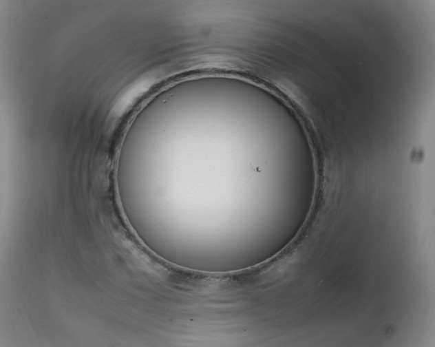 X0000111151067200906301332