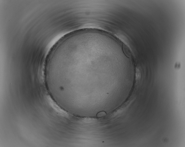 X0000111151068200906301332