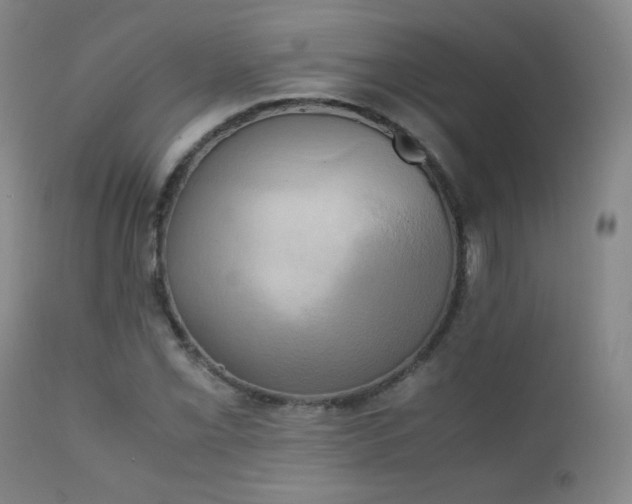 X0000111151069200906301332