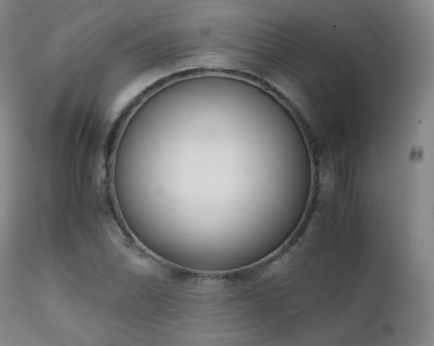 X0000111151070200906301332