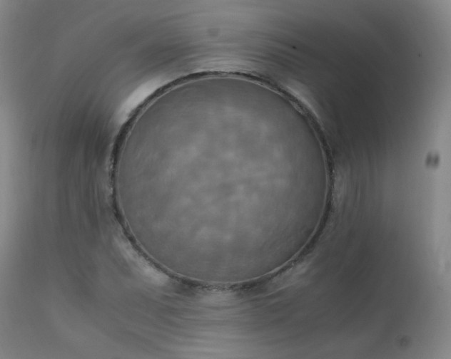 X0000111151071200906301332