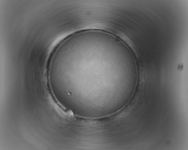 X0000111151072200906301332