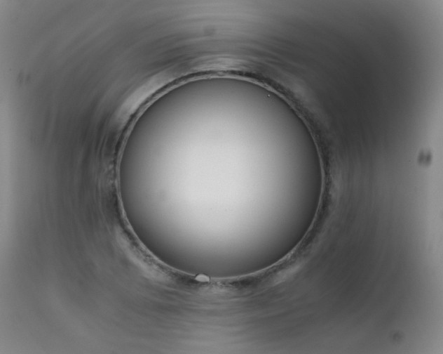 X0000111151073200906301331