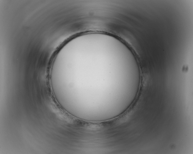 X0000111151074200906301331
