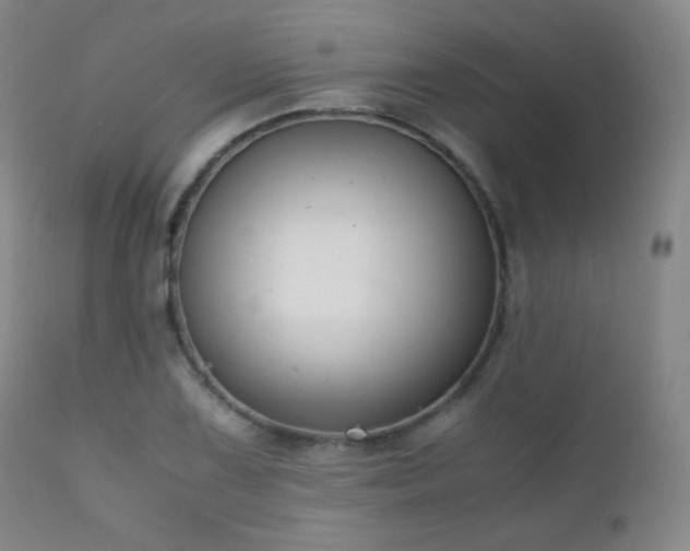 X0000111151075200906301331