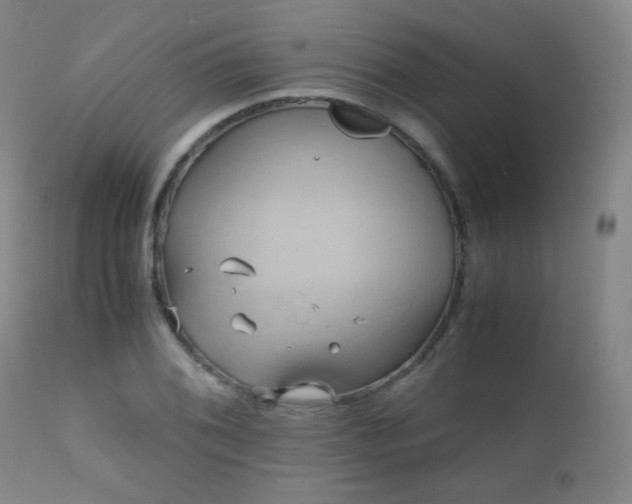X0000111151076200906301331