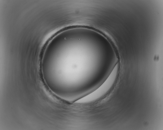 X0000111151077200906301331
