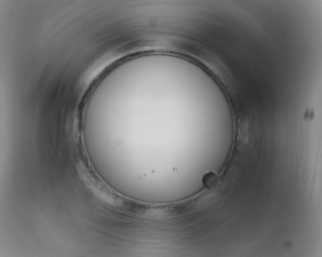 X0000111151078200906301331
