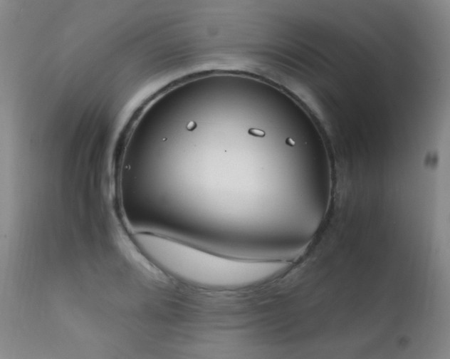 X0000111151080200906301331
