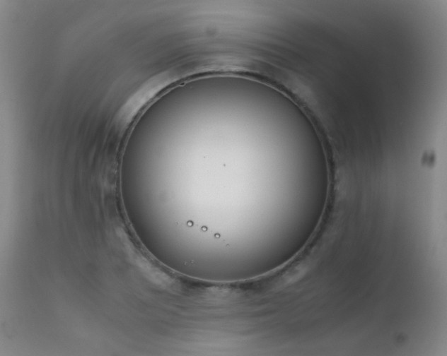 X0000111151081200906301331